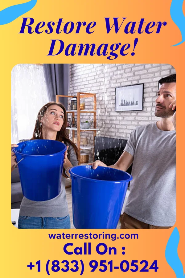 water restoration Royal Flood Pros Bay Springs