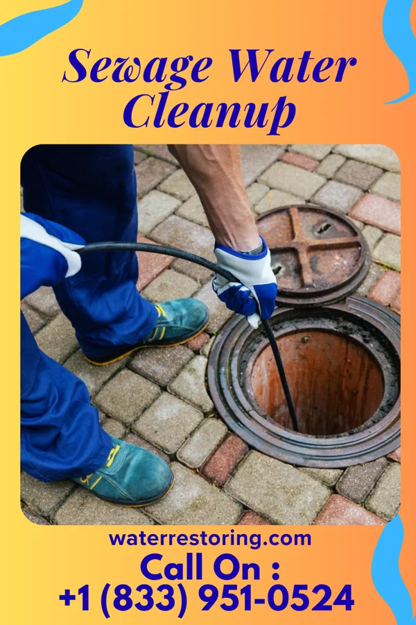 Sewage Water Cleanup in Bay Springs, MS